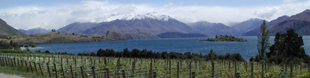 Rippon Vineyard & Winery